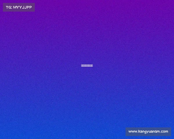 我的神奇队友作文